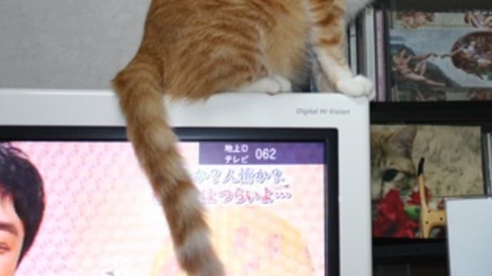 ひまつぶし
