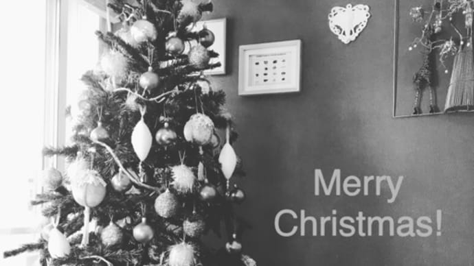 Merry Christmas!