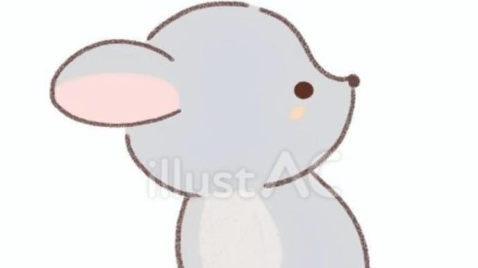 チンチラ