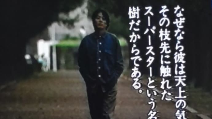 美しい歳月。沢田研二は一本の樹である⑤