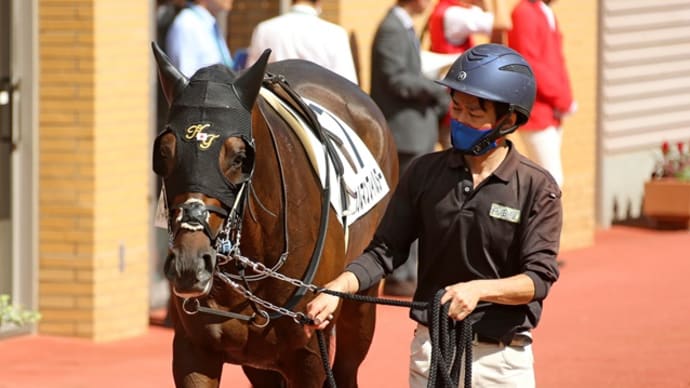 カルマンフィルター、在厩で続戦!