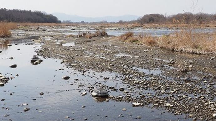 「化石でワンダー探検隊」事前調査~楊井層~