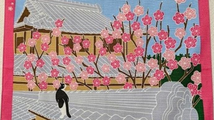 2月、、寒波が続きましたねですね