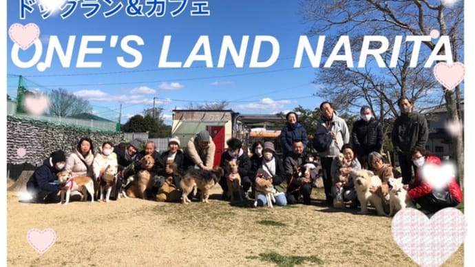3月のお出かけ1ドッグランに行ってきた
