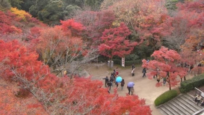 京都妖怪探訪（１５６）：清水寺の紅葉２０１１年（前編）