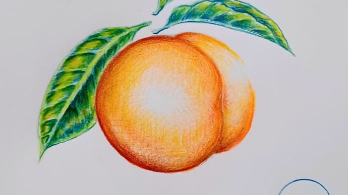 桃か?桃以外か?色鉛筆で描く『桃🍑講座』
