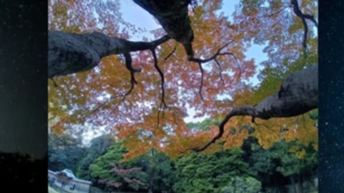 78.天の海に 雲の波立ち 月の船 星の林に 漕ぎ隠る見ゆ 助詞「に」の魔法