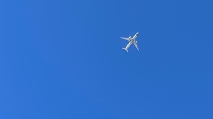 暑すぎて
