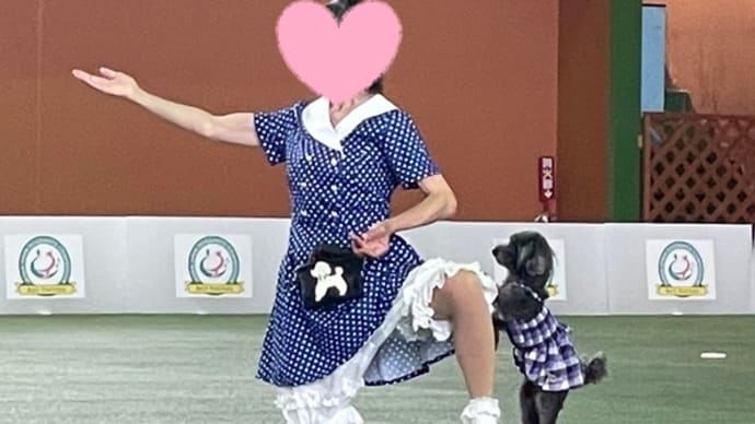 山中湖WOOFで頑張ってきました