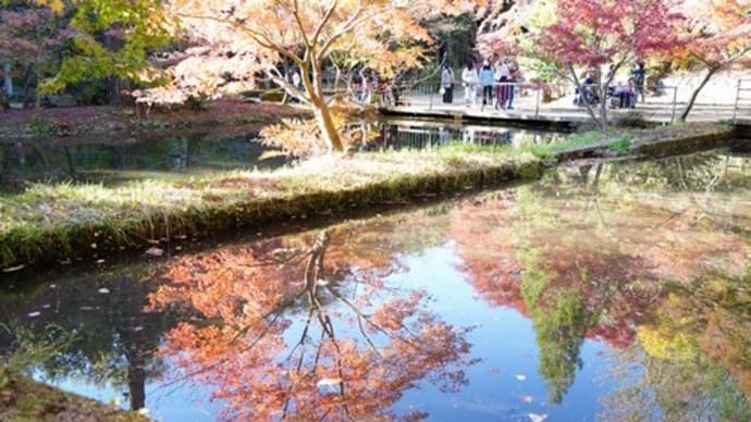 紅葉追っかけ その③・・・@曾木公園