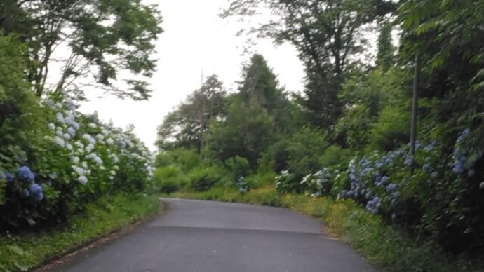 明日は雨なんだよなぁ~