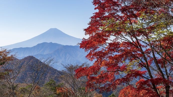 ハマイバ丸の紅葉