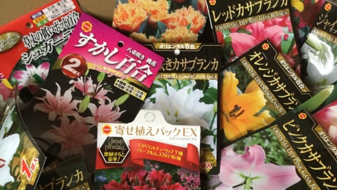 【#おうち時間】花で癒されて…【#アタリヤ農園】新商品続々入荷【#hanacafeマルシェ】へGo〜