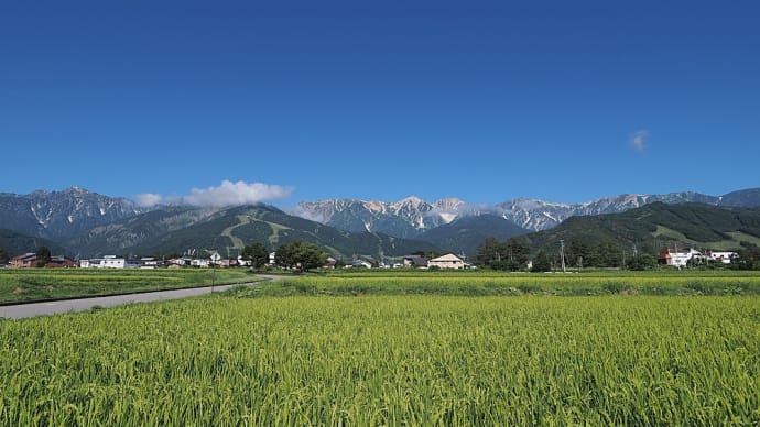 ★白馬村 松川大橋から後立山連峰・備中風露 2022