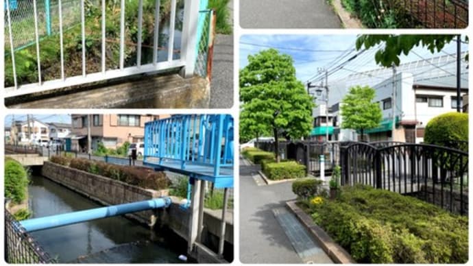 見沼代用水西縁 川口市道下~東浦和