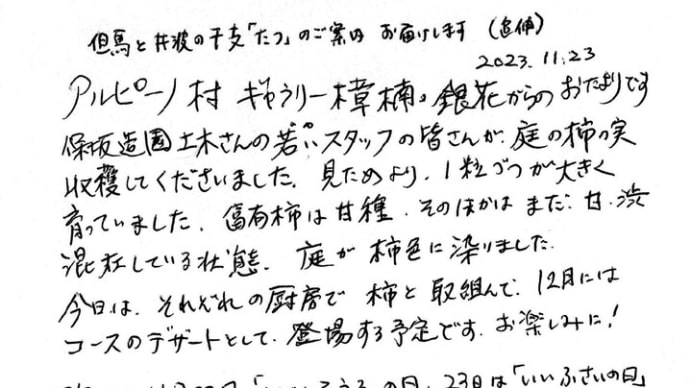 アルピーノ村 ギャラリー樟楠・銀花からのおたり 2023.11/23(更新が遅くなり申し訳ありません)