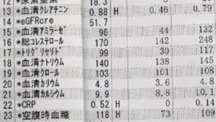 2023年03月17日 血液検査結果