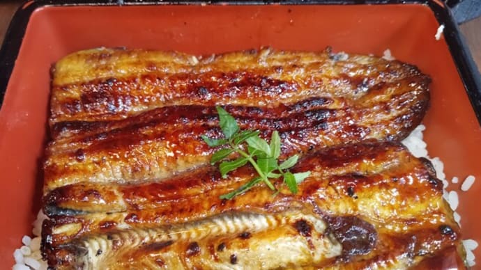 2024/02初旬~2024/03中旬までの食事まとめ ドナルド→でんがな→はやしや→かのや→焼肉げんき→とんぼ食品→まことや→うな鐵→とろたく