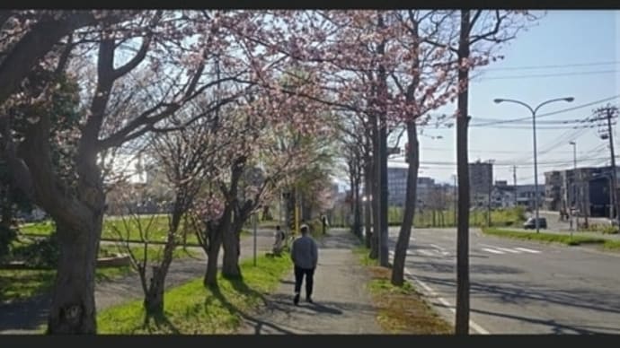 2025/03/16