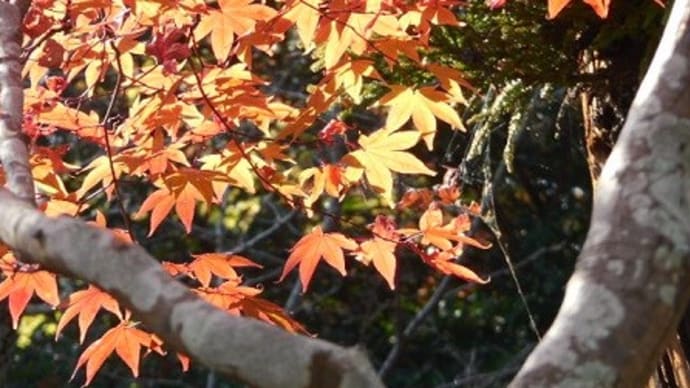 最終章 姥勝手 ①