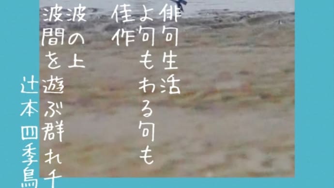 俳句生活 よ句もわる句も佳作