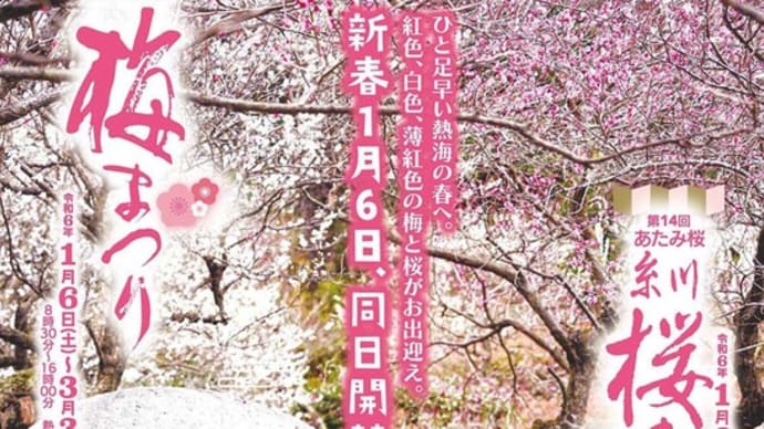 2024 　熱海桜　糸川桜まつり ＆わんこ