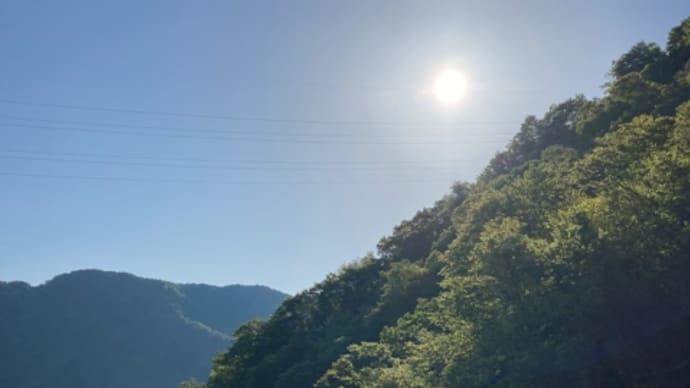 万能よもぎ