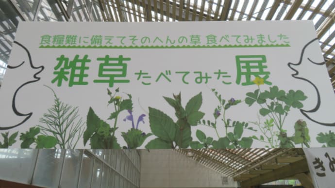 とちはなに行くのよ~!(その5)雑草たべてみた展♬