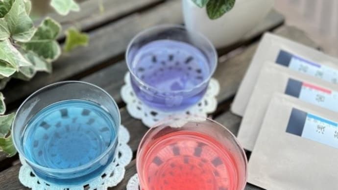 うつくしい6色の緑茶フレーバーティー いろは