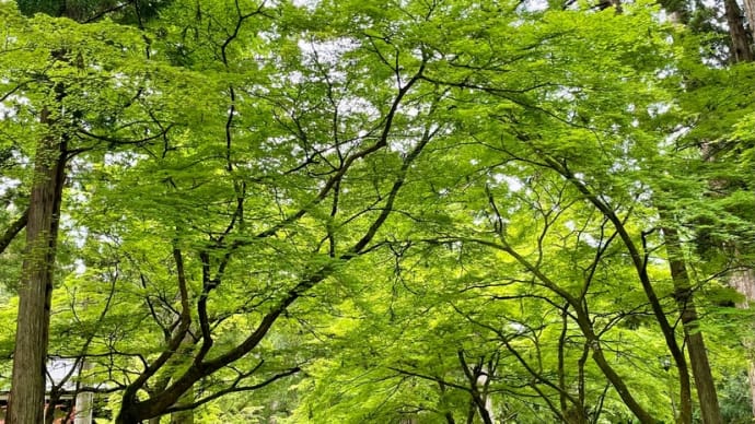 新緑の加賀温泉郷への旅