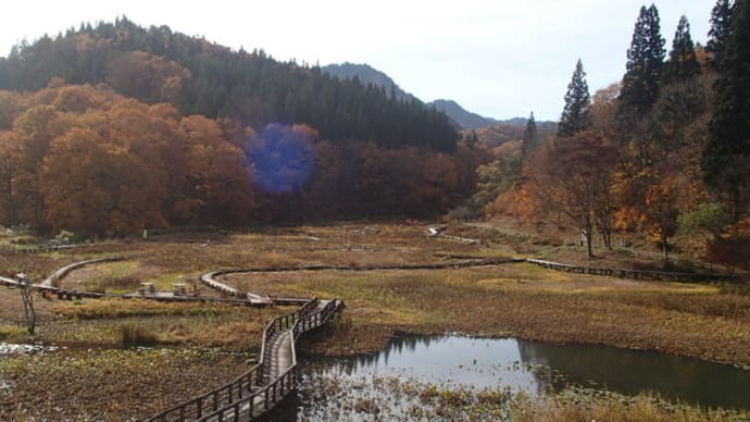 たきがしら湿原