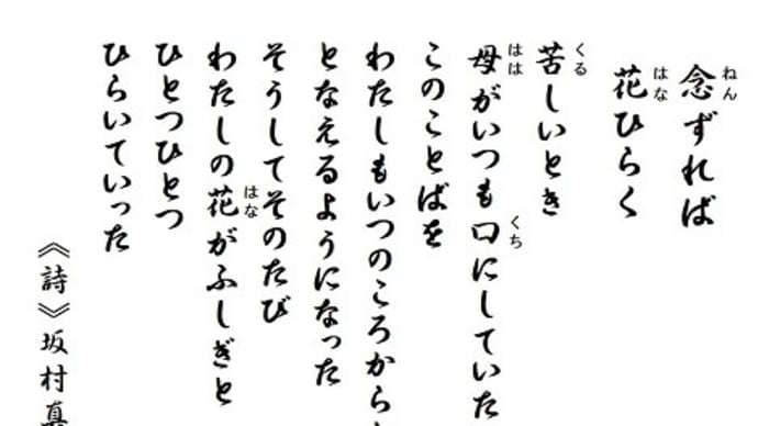 坂村真民 《詩》念ずれば 花ひらく