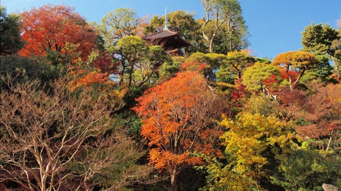 椿山荘の紅葉
