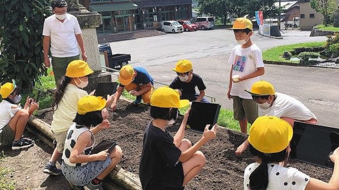 米原・伊吹小で地元特産「伊吹大根」種まき