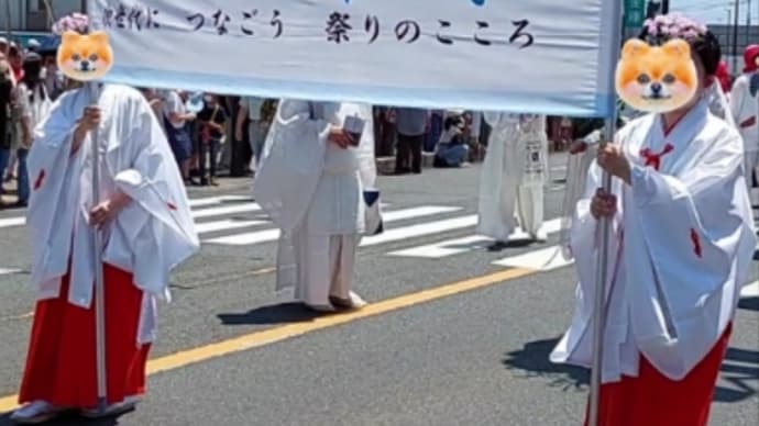 寒川神輿祭