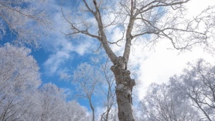 樹氷(1)/群馬赤城山
