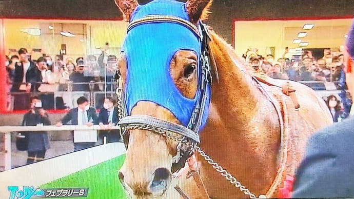 🐴きょうのおうまさん(23/2/22) 🏆金盃・🐴ウイニングチケット😭