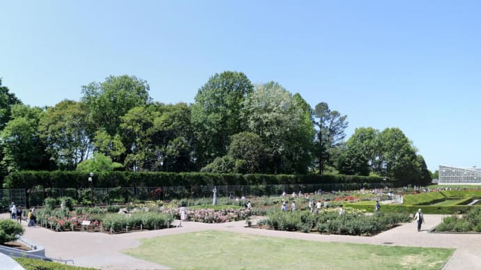 ５月の神代植物公園
