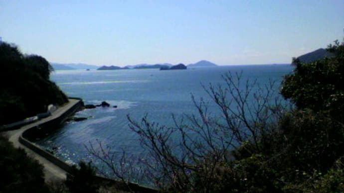 気持ちよい風景♪