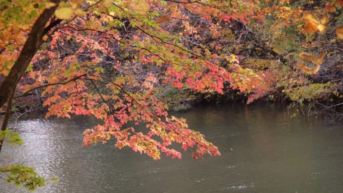 紅葉に染まる長老湖から小野川温泉の旅・・・長老湖での探実
