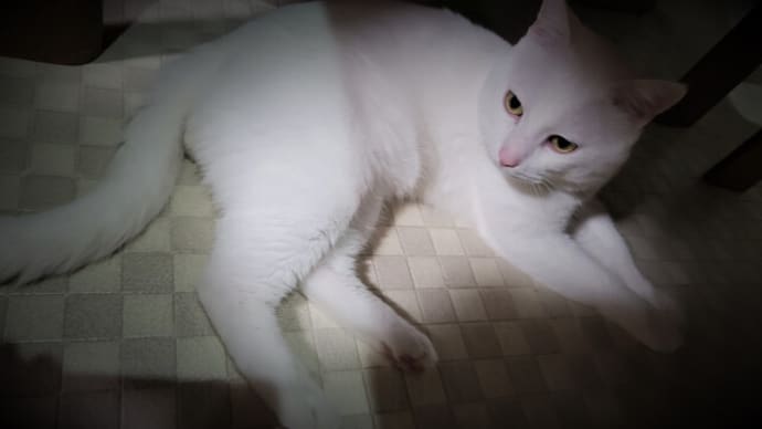 脚下照顧