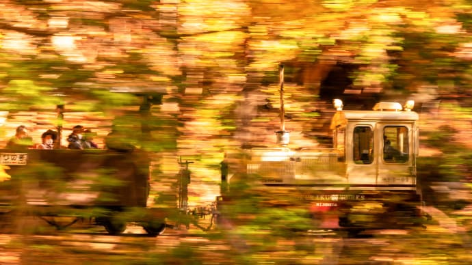 トロッコ列車が行く