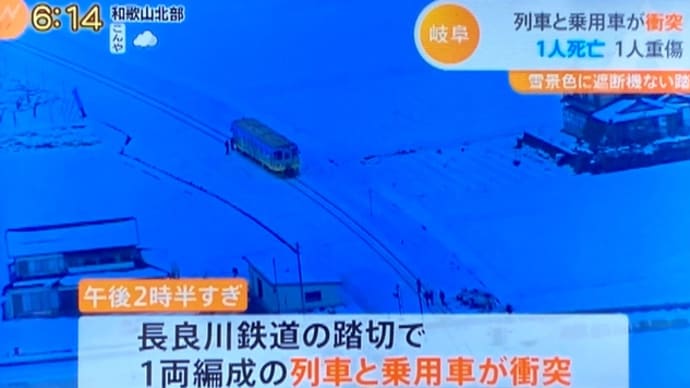 岐阜の長良川鉄道の踏切でジジイが気動車に車を打つける