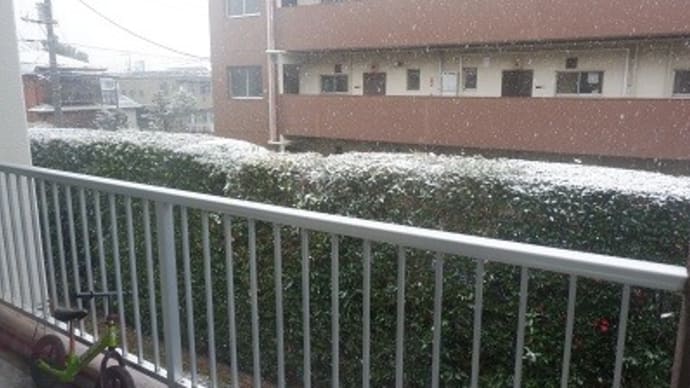 初雪は、宿題DAY