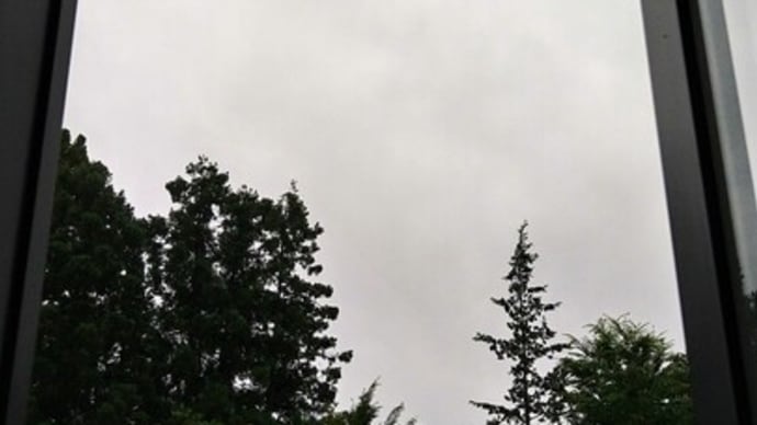 アルマイトカップの空