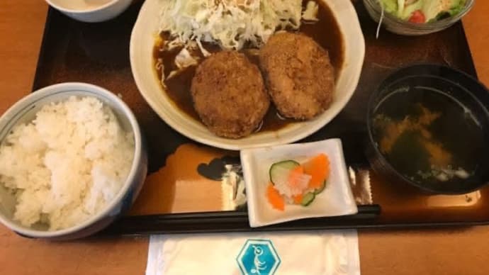 サラメシ・ゴロメンチ定食@鳥波多からの、ペットショップ。