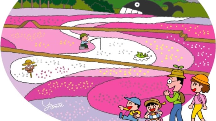 芝桜の丘2025…