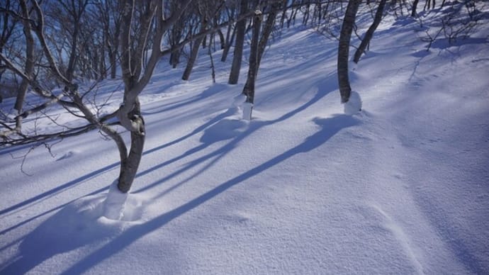 雪の小遠見山から無事にアルプス平到着