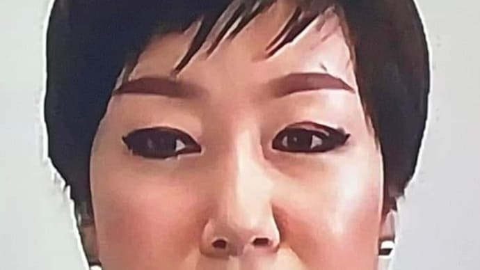 [ 竹島領土問題と国際司法裁判所 ]