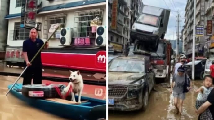 洪水に沈んだ街と忠犬 中国・貴州省で大洪水【動画あり】